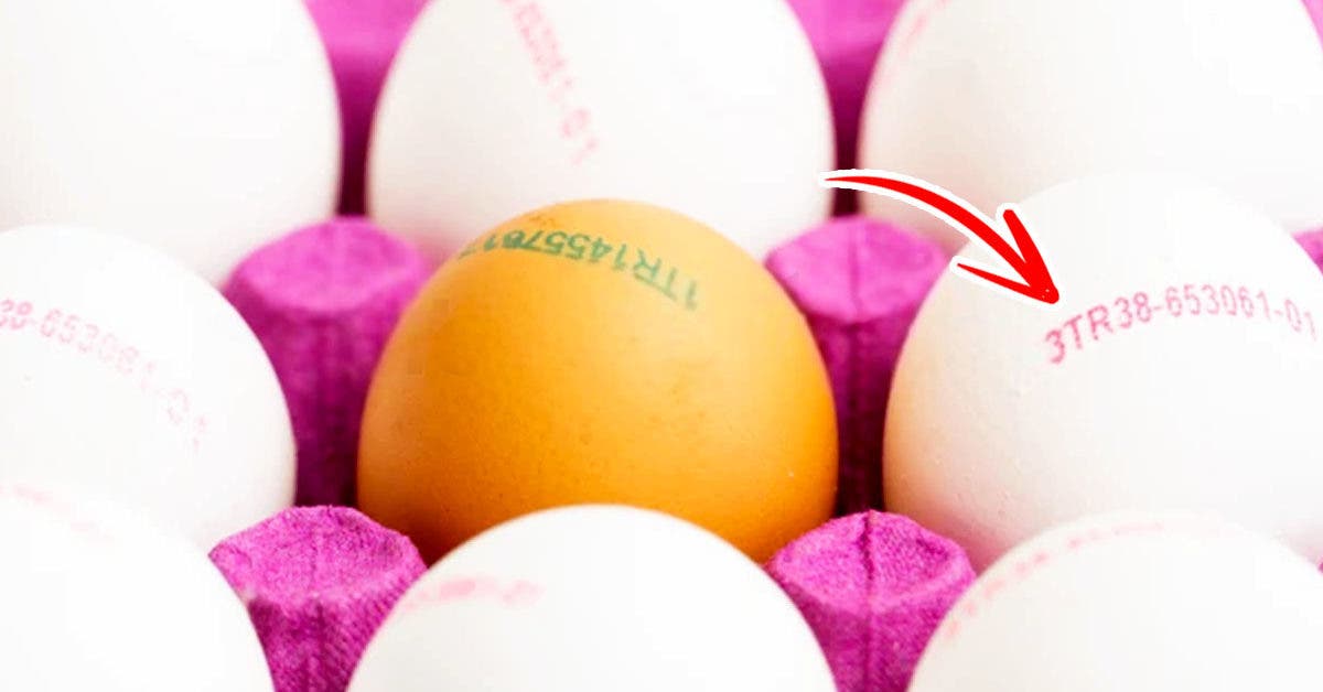Que signifient les chiffres imprimés sur les œufs ? Vous ne le savez peut-être pas