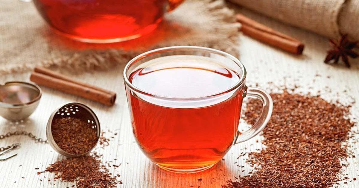 Quel goût a le thé Rooibos _