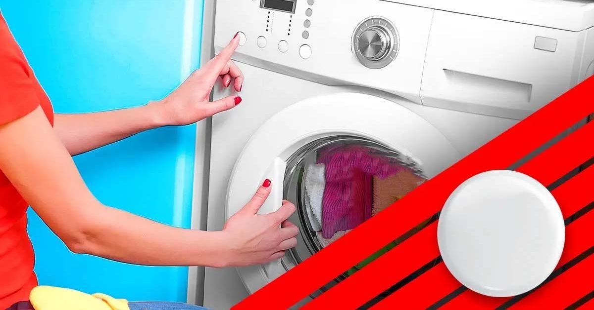 4 astuces pour enlever les poils d'animaux de la machine à laver