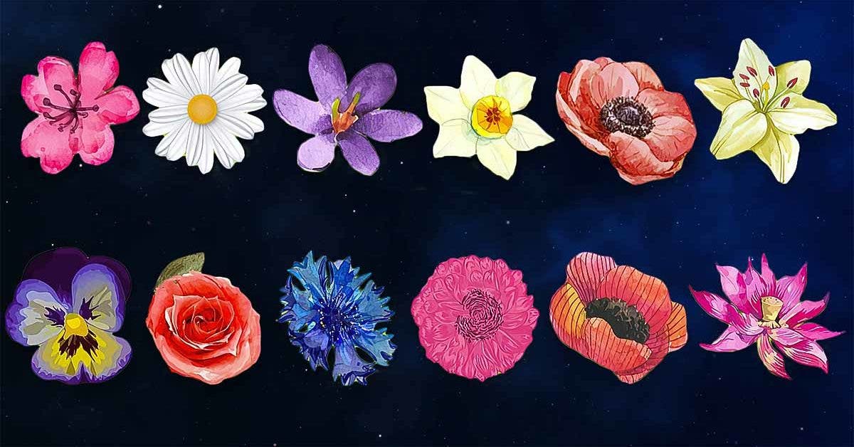 Quelle est votre fleur selon votre mois de naissance ? Ce qu'elle révèle  sur votre personnalité