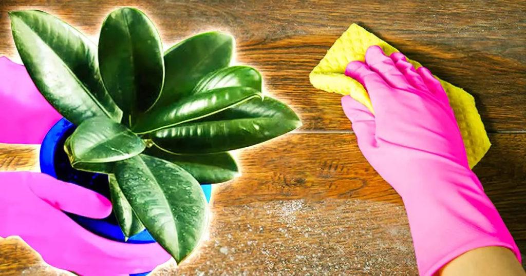 Comment éliminer la poussière dans la chambre ? 8 astuces infaillibles