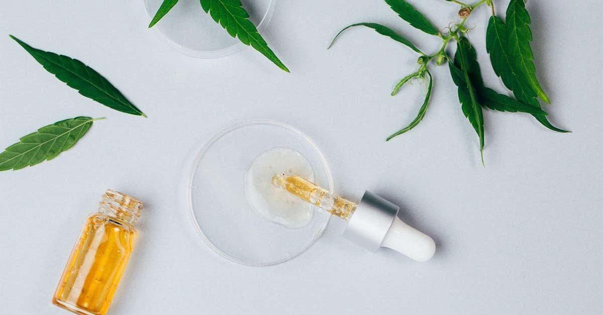 Quelles sont les diverses meilleures formes de CBD actuelles