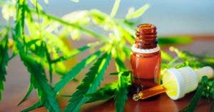 Quelles sont les raisons pour lesquelles opter pour l'huile de CBD