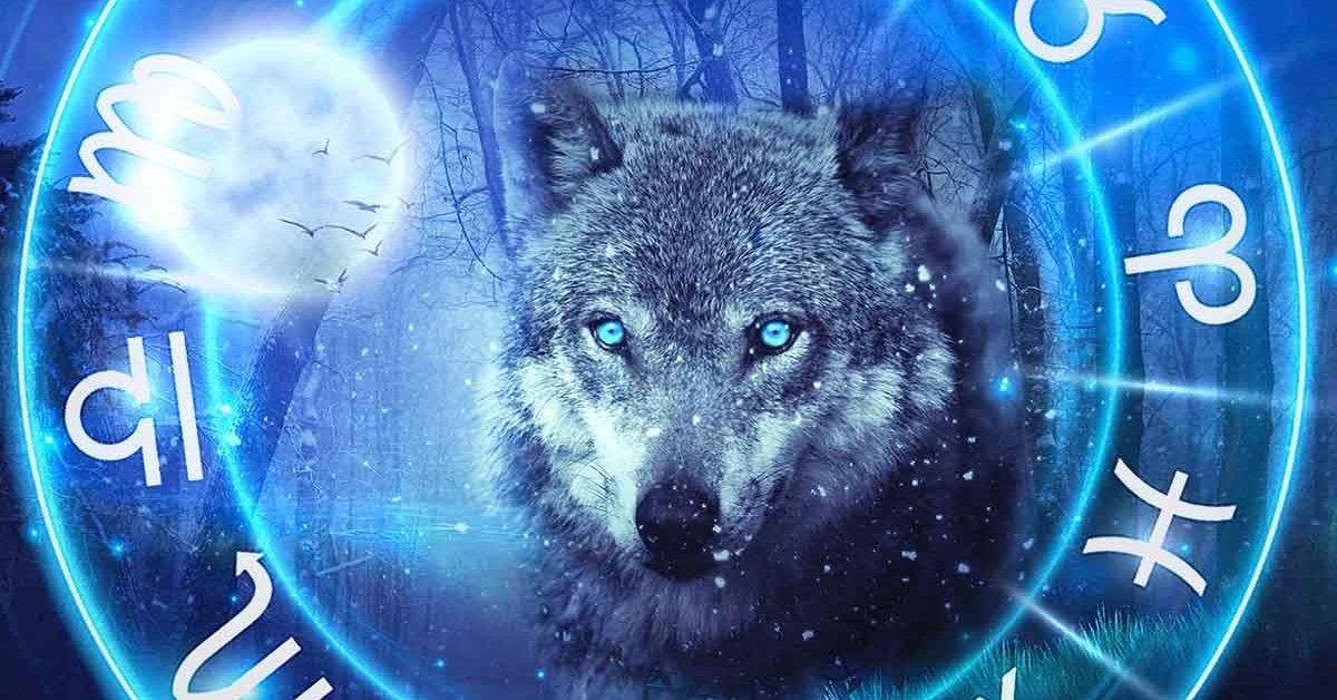Quels signes du zodiaque sont des loups solitaires - toujours seuls contre tous
