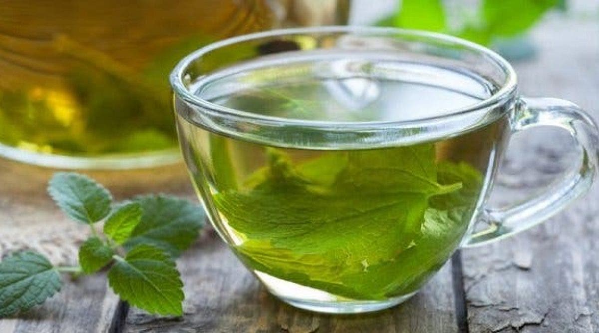 Recette de thé à l'origan guérir les maux de gorge