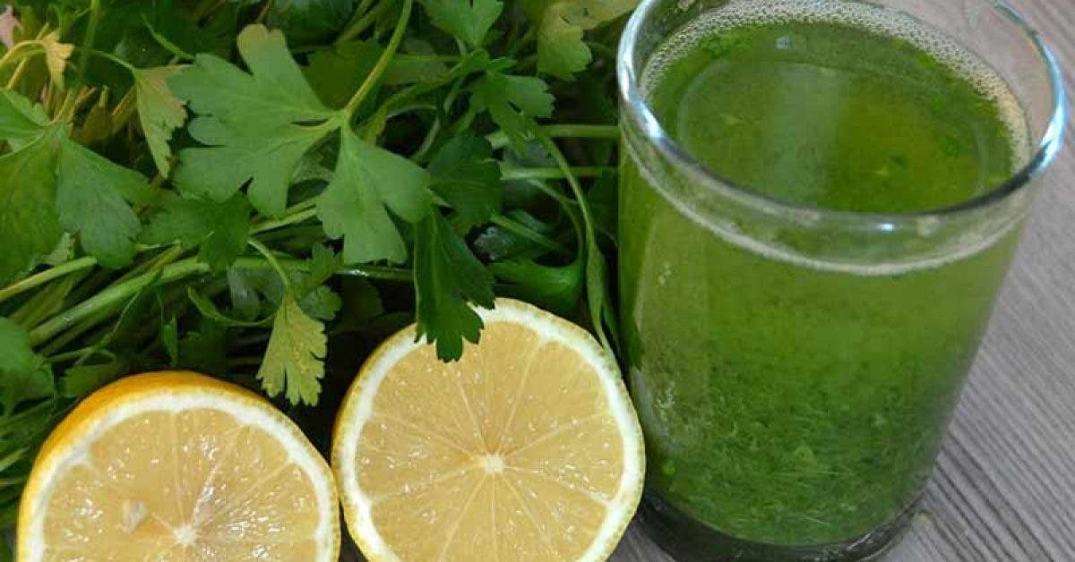 Recette : eau, citron et persil pour détoxifier le corps et perdre du poids