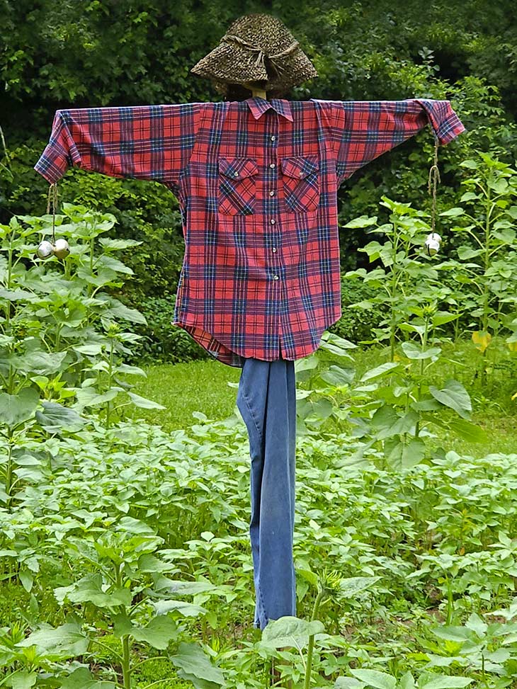 Recycle windshield wipers into a scarecrow