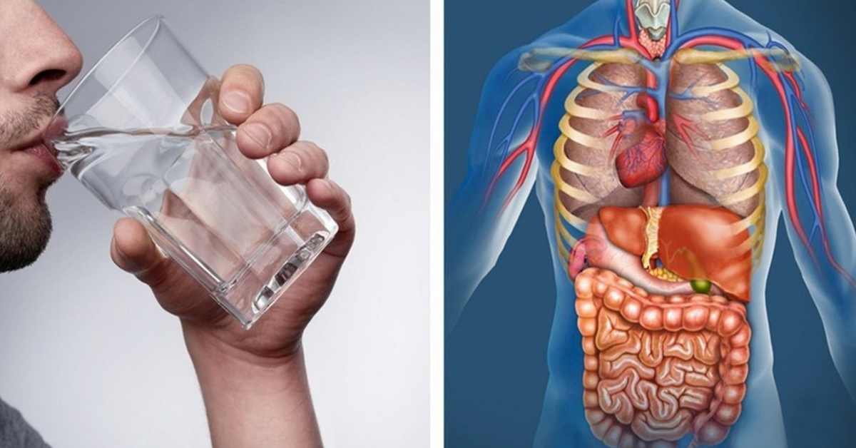 Remplacez toutes les boissons par de l’eau pendant 30 jours et regardez ce qui arrive à votre corps