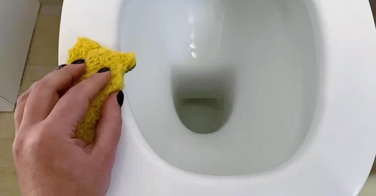 5 tips from grandmothers to effectively clean a yellowed toilet seat Archyde