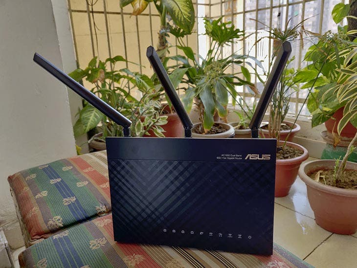 The router is placed next to the plants