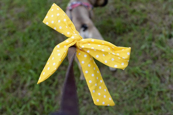 yellow ribbon for dogs