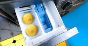 SITE - Pourquoi est-il important de mettre un citron dans le bac de la machine à laver une fois par mois001