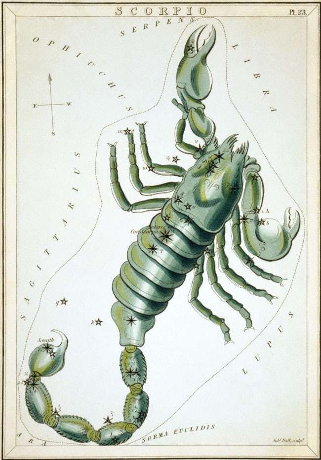Scorpion 1 1 1 1