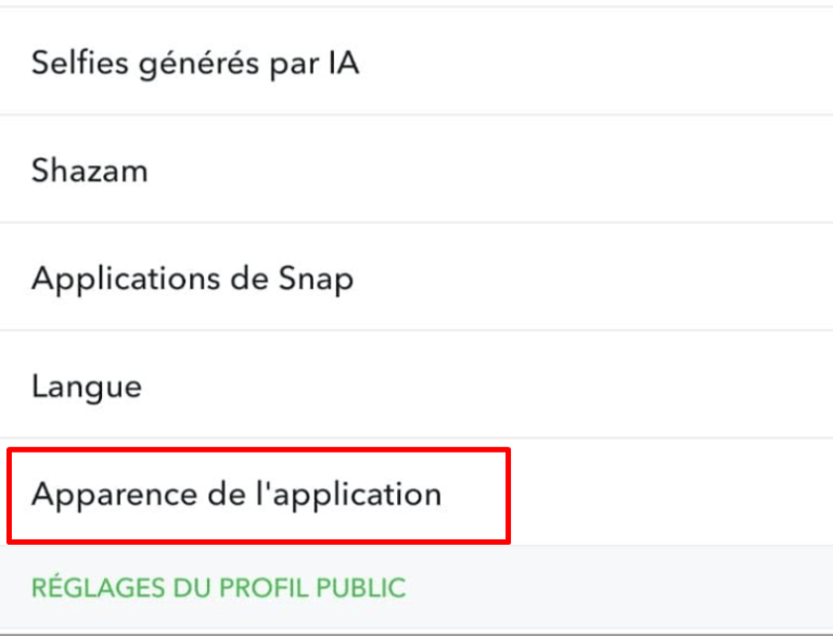 Comment mettre snap en noir sur iPhone, Android et ordinateur en 2024