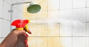 Si vous le vaporisez sous la douche et sur les sanitaires, vous n’aurez pas à nettoyer les nettoyer pendant 2 semaines final