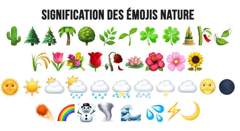 Émojis : signification de tous les smileys et émoticônes