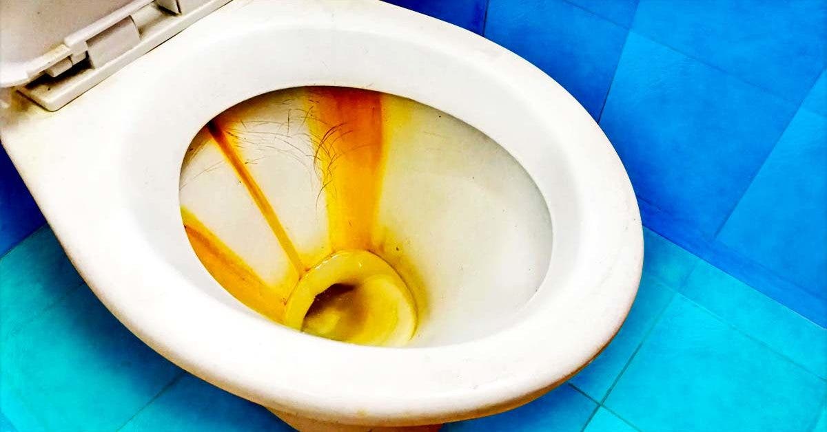 Taches de rouille dans les toilettes : comment les nettoyer en 5 minutes