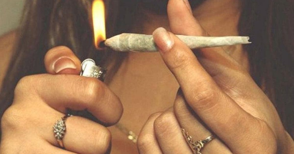 Terrible nouvelle pour les fumeurs de cannabis