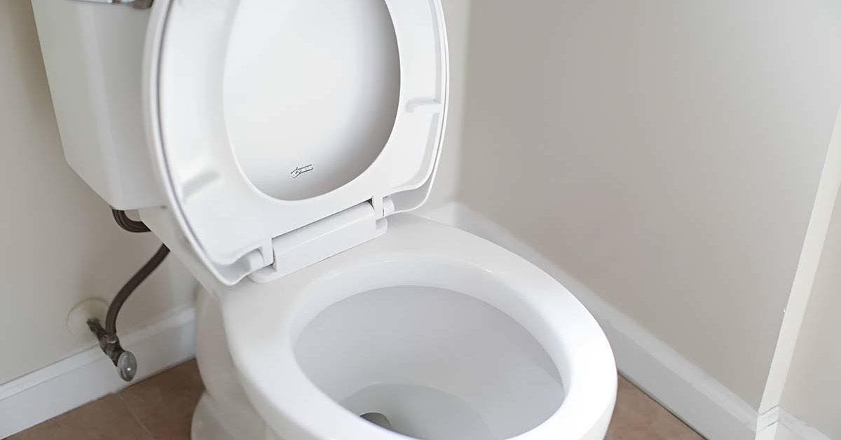 Clogged toilets The trick to solving the problem easily