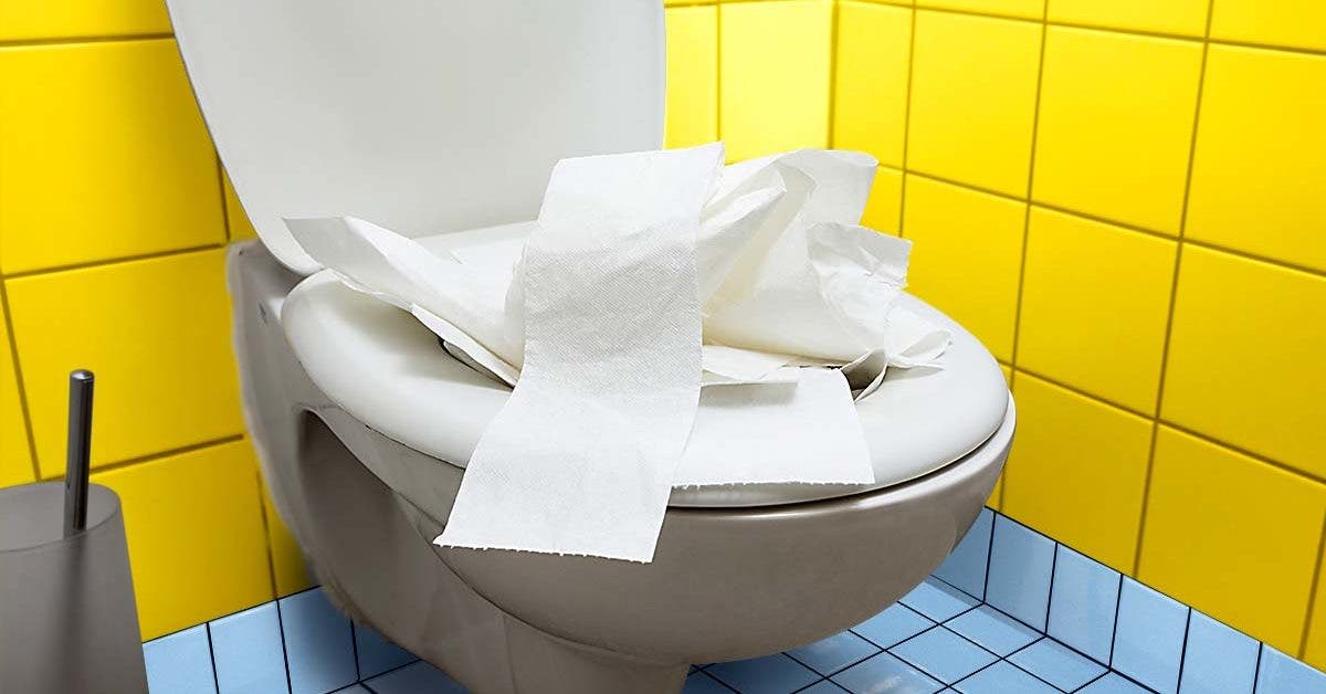 Comment déboucher un WC ? Nos 10 Astuces fiables.