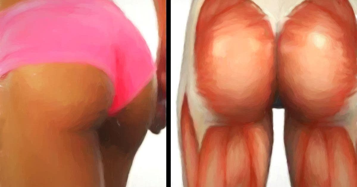 Top 5 des exercices pour muscler vos fesses
