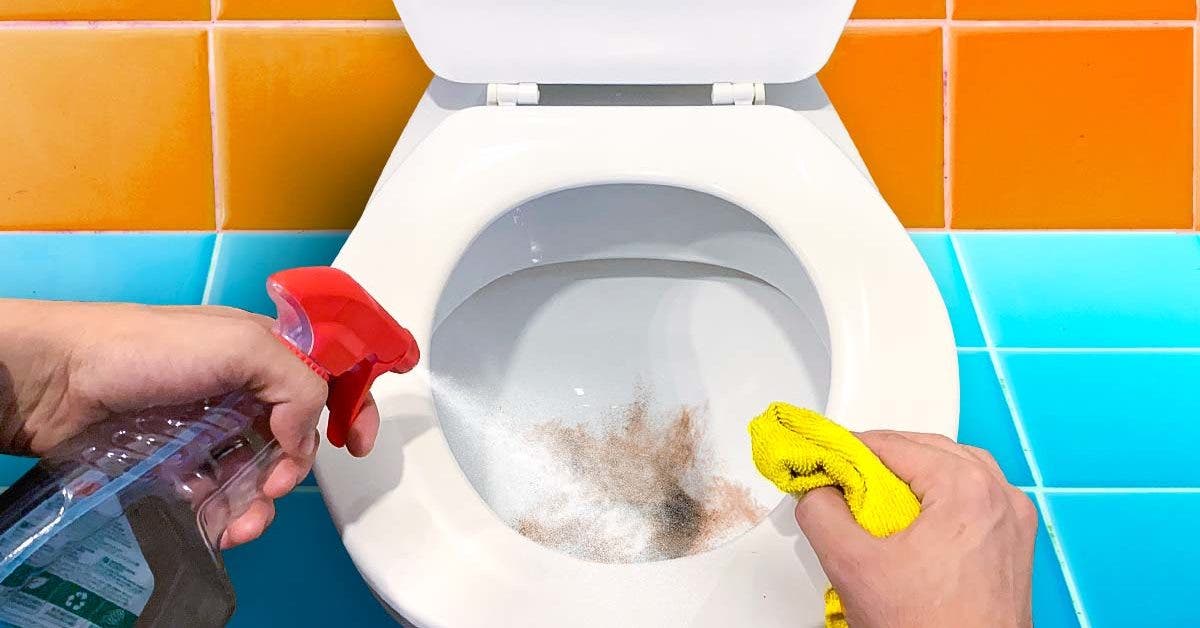 Traces noires au fond des toilettes ? Cet ingrédient de vos placards les éliminent en une minute