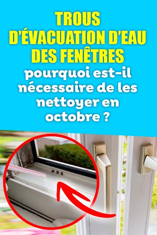 Trous d’évacuation d’eau des fenêtres : pourquoi est-il nécessaire de les nettoyer en octobre ?