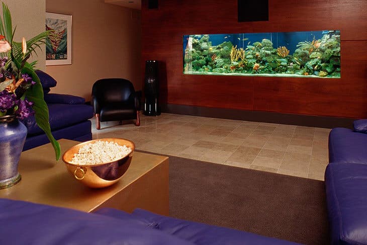 Un acuario colocado en la sala de estar.