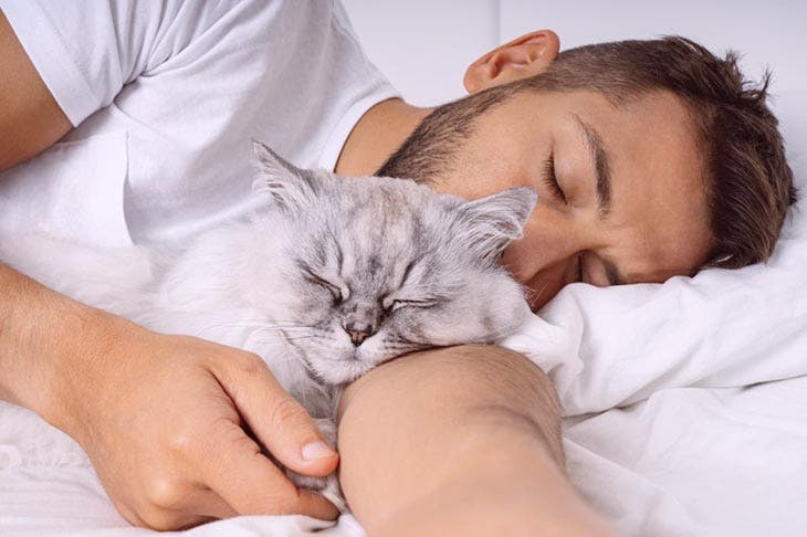 A cat sleeping with its master