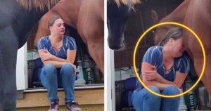 Un cheval réconforte sa propriétaire en pleurs - la vidéo fait le buzz sur TikTok