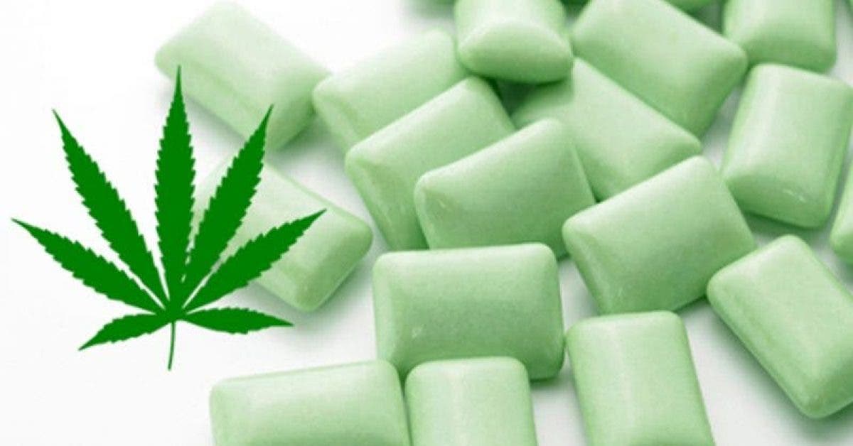 Un chewing-gum au cannabis pour soulager les douleurs de la fibromyalgie