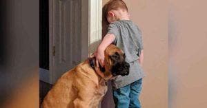 Un garçon puni contre un mur trouve le réconfort auprès de son chien qui lui tient compagnie