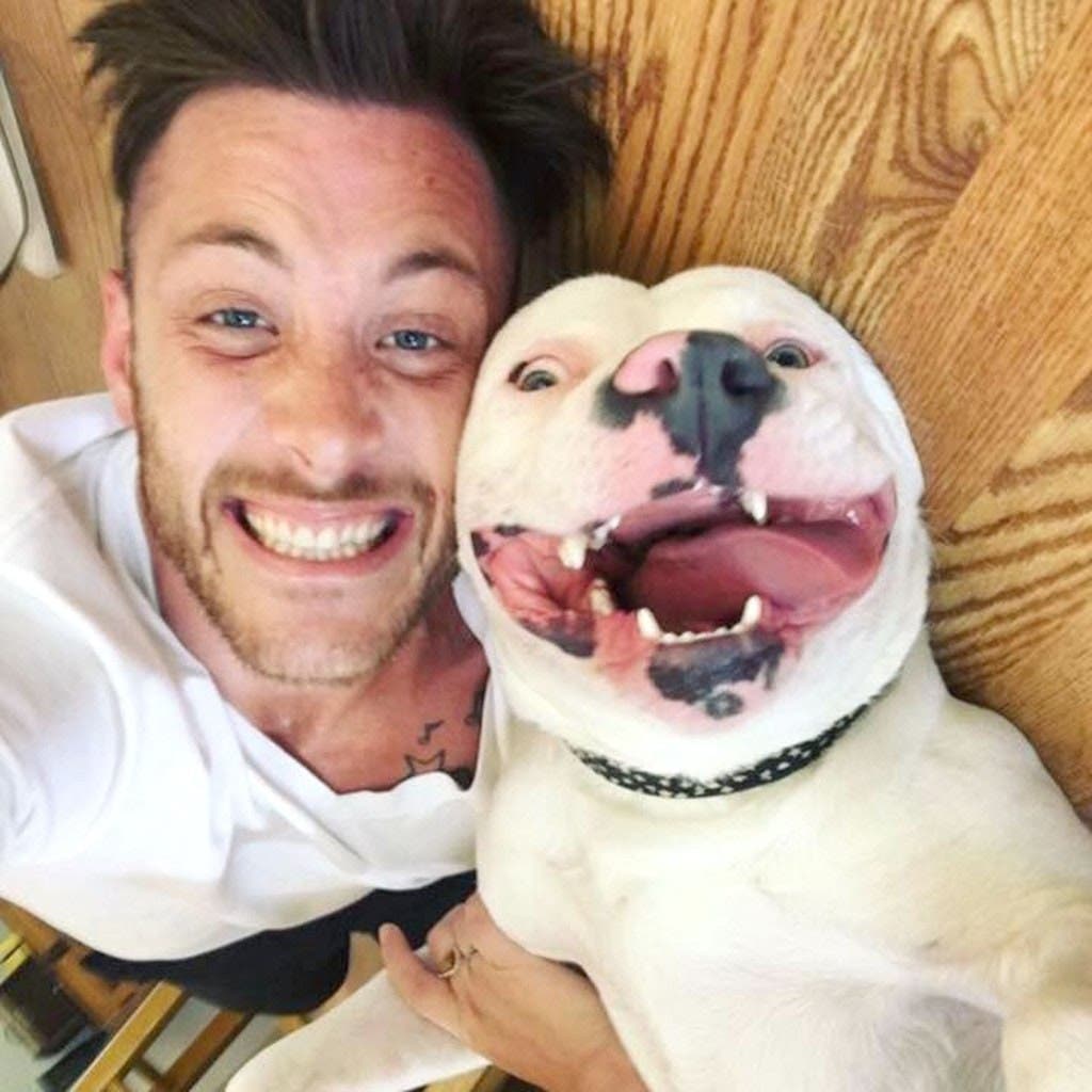 Un homme publie cette photo de son nouveau chien