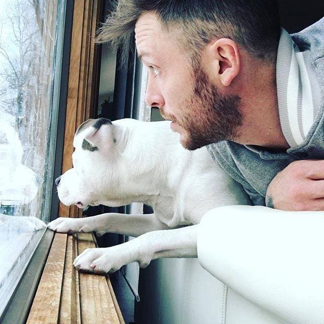 Un homme publie cette photo de son nouveau chien