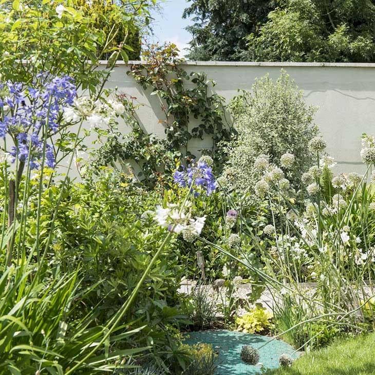 Un pequeño jardín exuberante