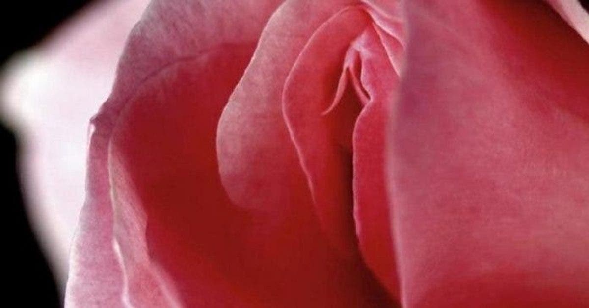 Un professeur basé à Londres a développé un vagin bionique