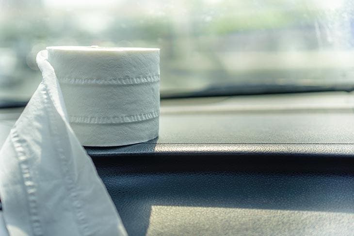 A roll of toilet paper in the car.