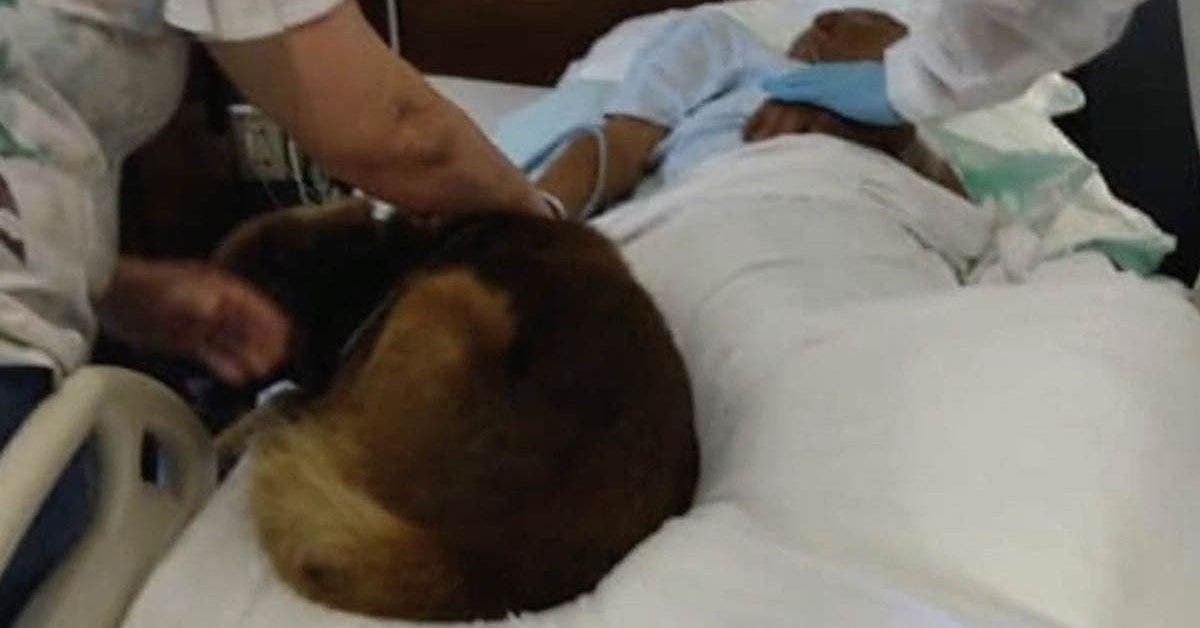 Un sans-abri sauvagement battu pleure avant de mourir avec son chien à ses côtés