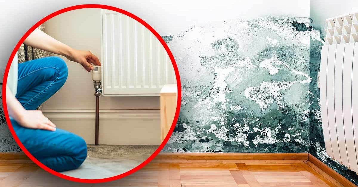 Un spécialiste des chaudières partage des méthodes utiles pour prévenir l'humidité dans la maison et éviter la moisissure noire final
