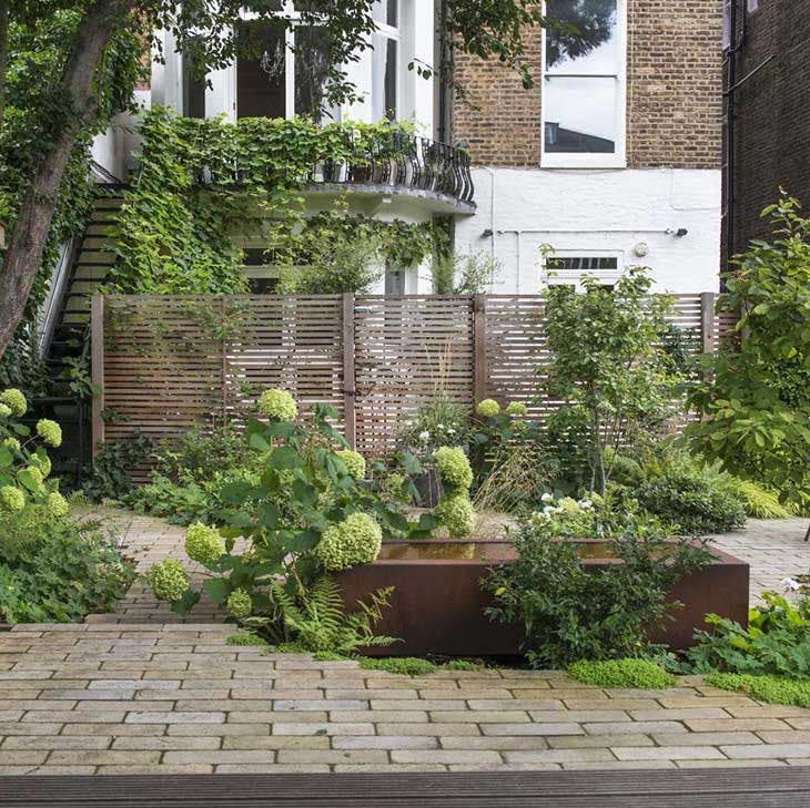 Un tipo de planta para cada zona de tu jardín