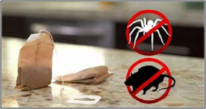 Une astuce incroyable pour vous debarrasser des souris et des araignees dans la maison 1