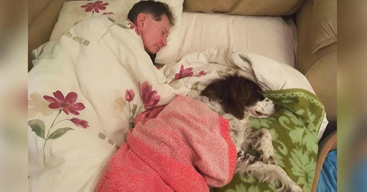 Une famille dort à tour de rôle sur le canapé pour tenir compagnie à leur vieux chien