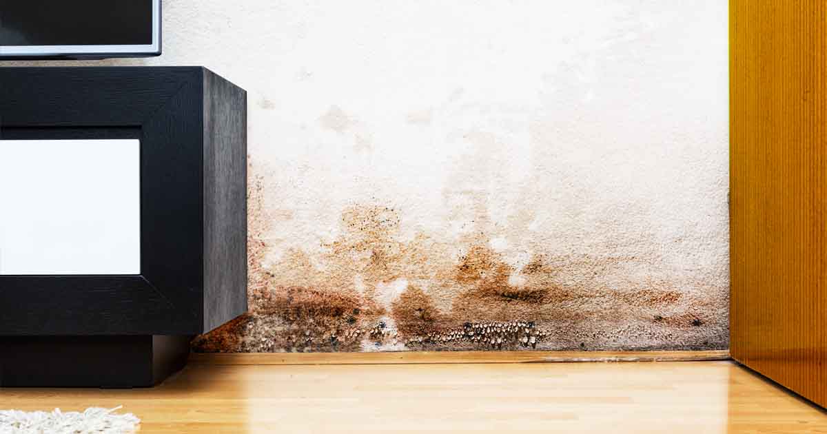 Astuces et conseils pour entretenir sa maison