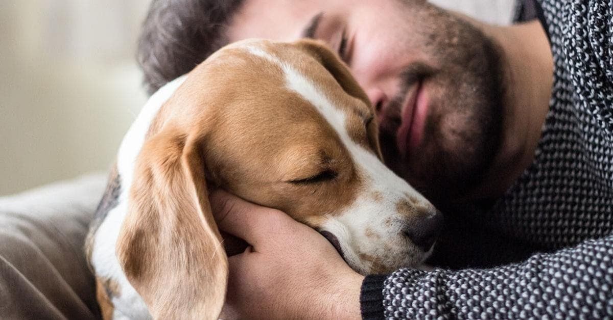 Une nouvelle étude prouve que nous préférons les chiens aux humains