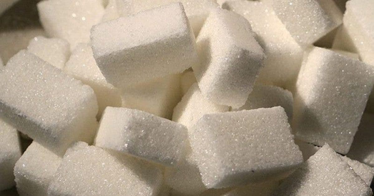 Une nutritionniste alerte les gens pour arrêter le sucre pendant un mois