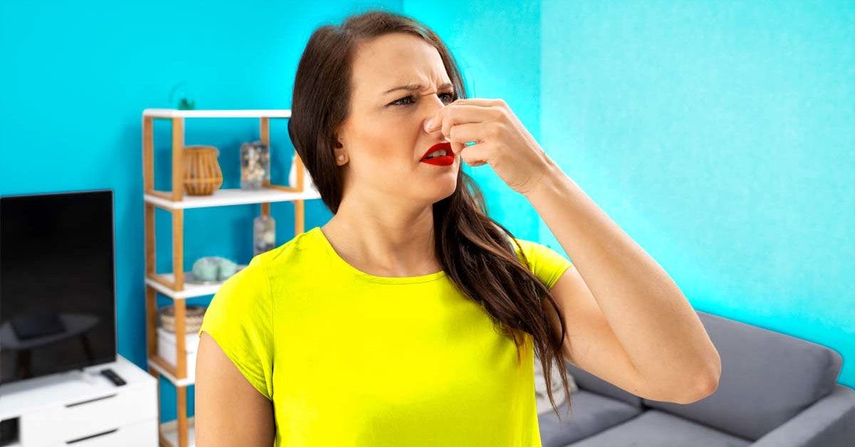 Une odeur désagréable a envahi votre maison ? Vérifiez ces 6 endroits !