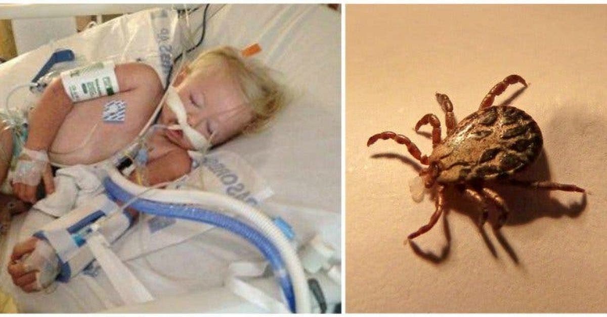 Une petite fille de 2 ans est morte après avoir joué dehors – sa famille met en garde contre ce virus mortel