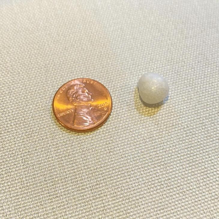 A little white pearl
