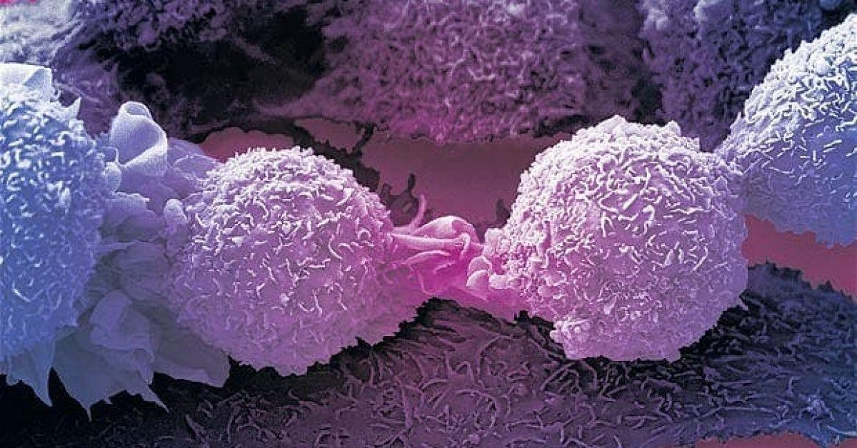 Une pratique sexuelle peut guérir le cancer