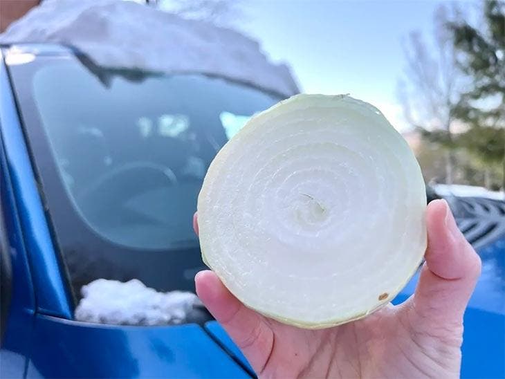 Use an onion on the windshield